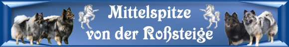 Rosssteige-Banner-neu